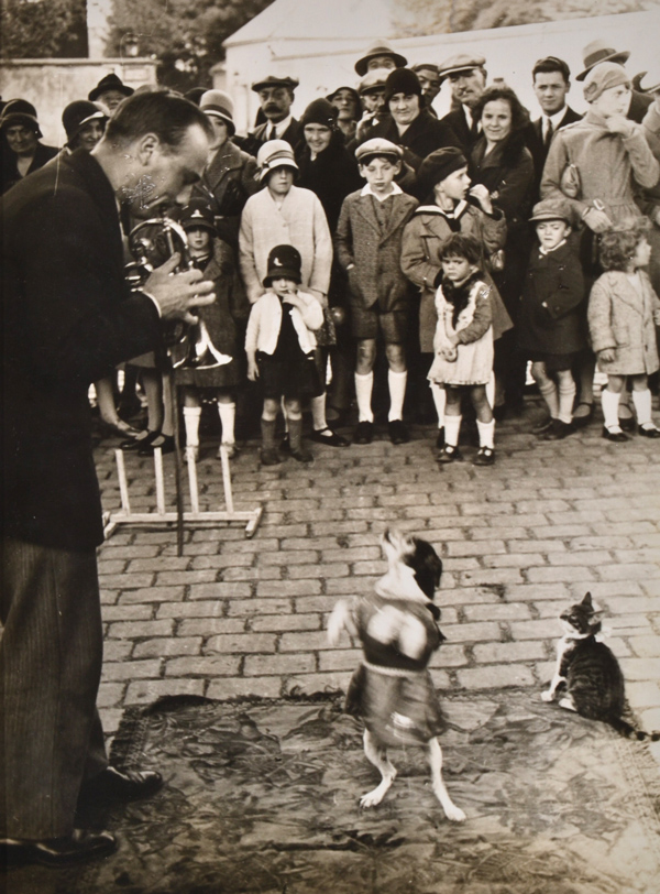 Brassai (Gyula Halasz 1899-1984), Performing Dog 1930’s, Silver gelatin print.