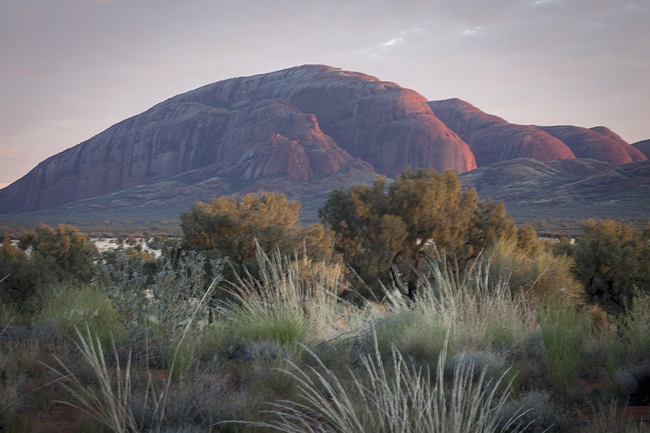 Kata Tjuta at dawn