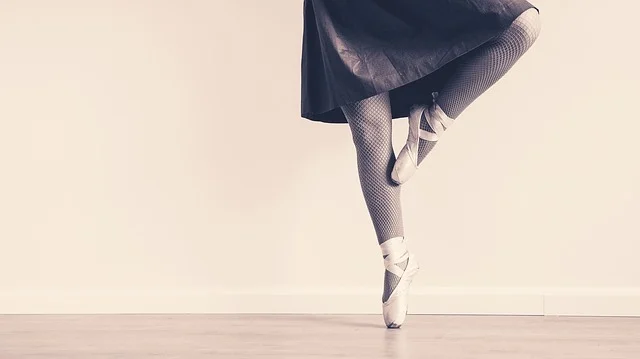 Ballet_Dress_Dance_Lace_1553359_S_.jpg