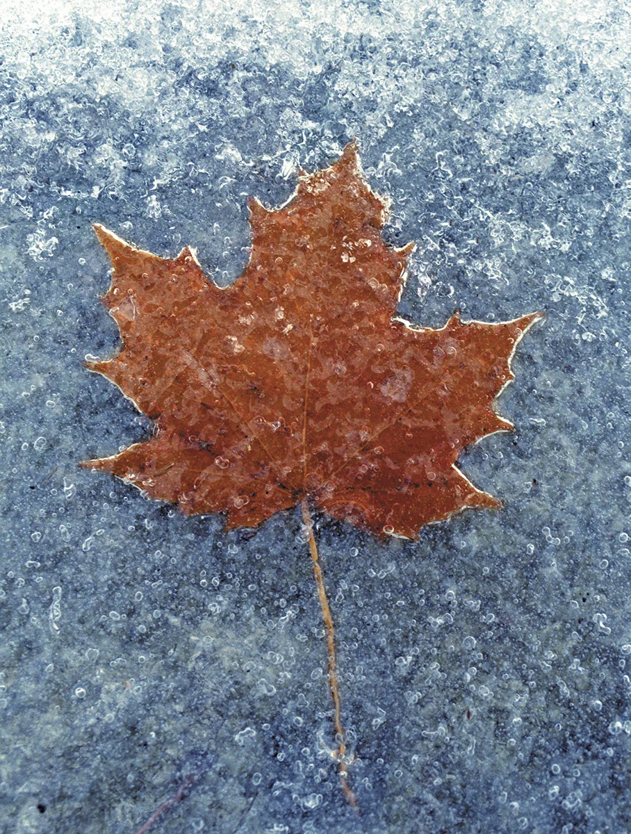 Lill_091216_203.jpg