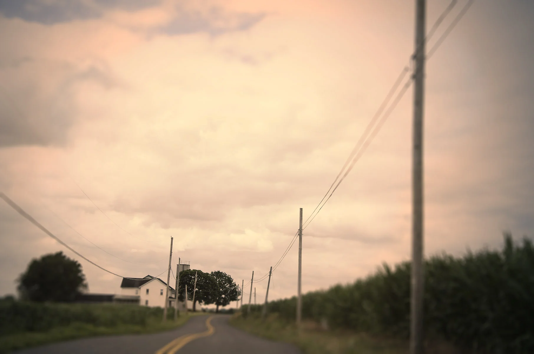LILL_1504_07.jpg