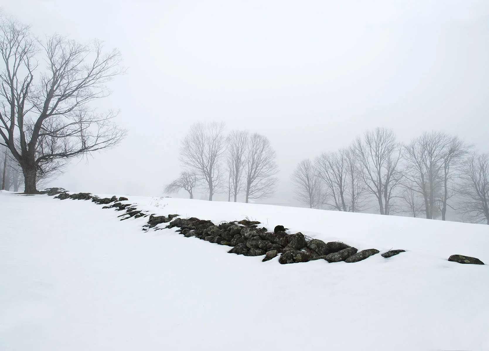 Lill_091316_300.jpg
