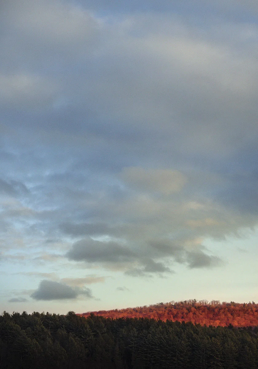 Lill_091316_316.jpg