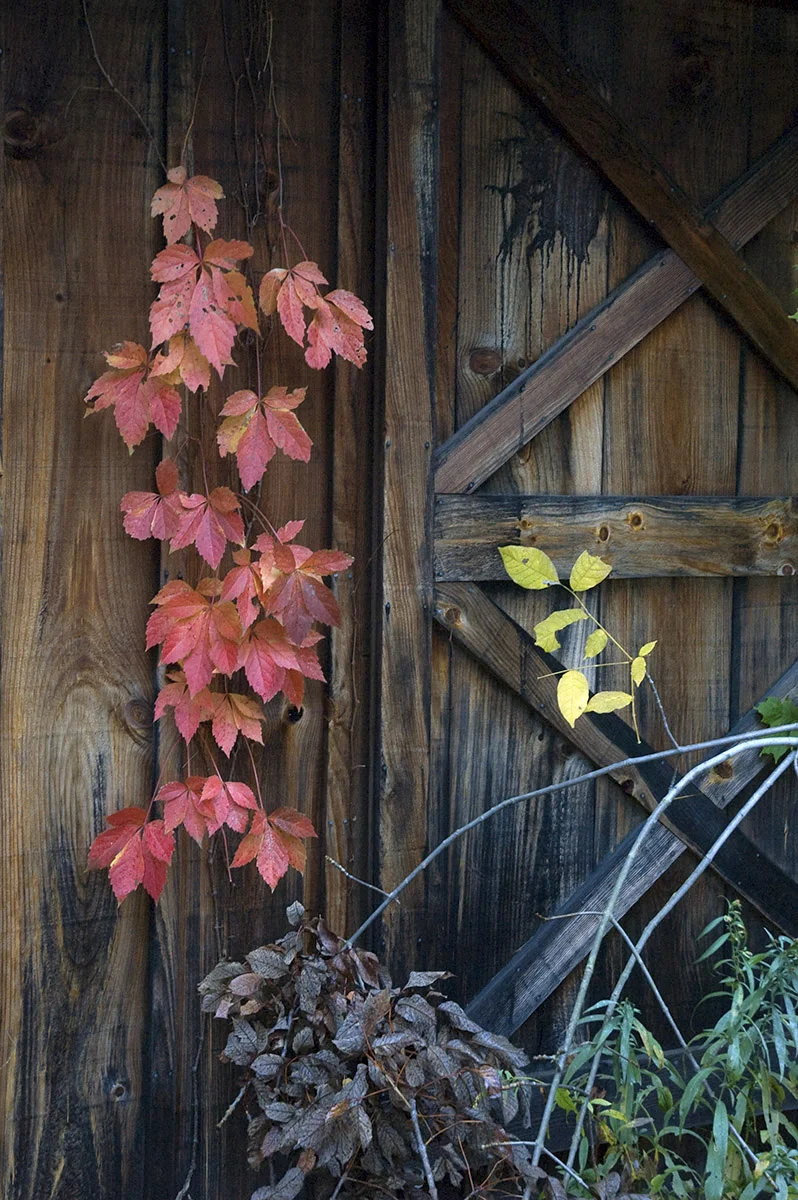 Lill_091316_301.jpg
