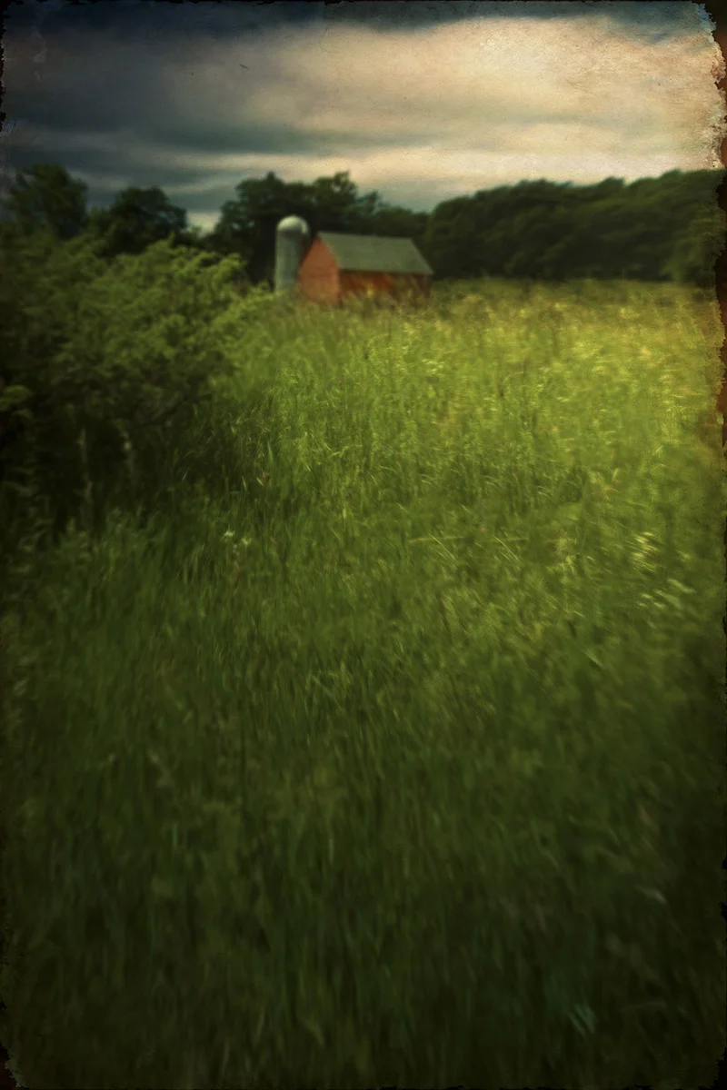 Lill_091316_304.jpg