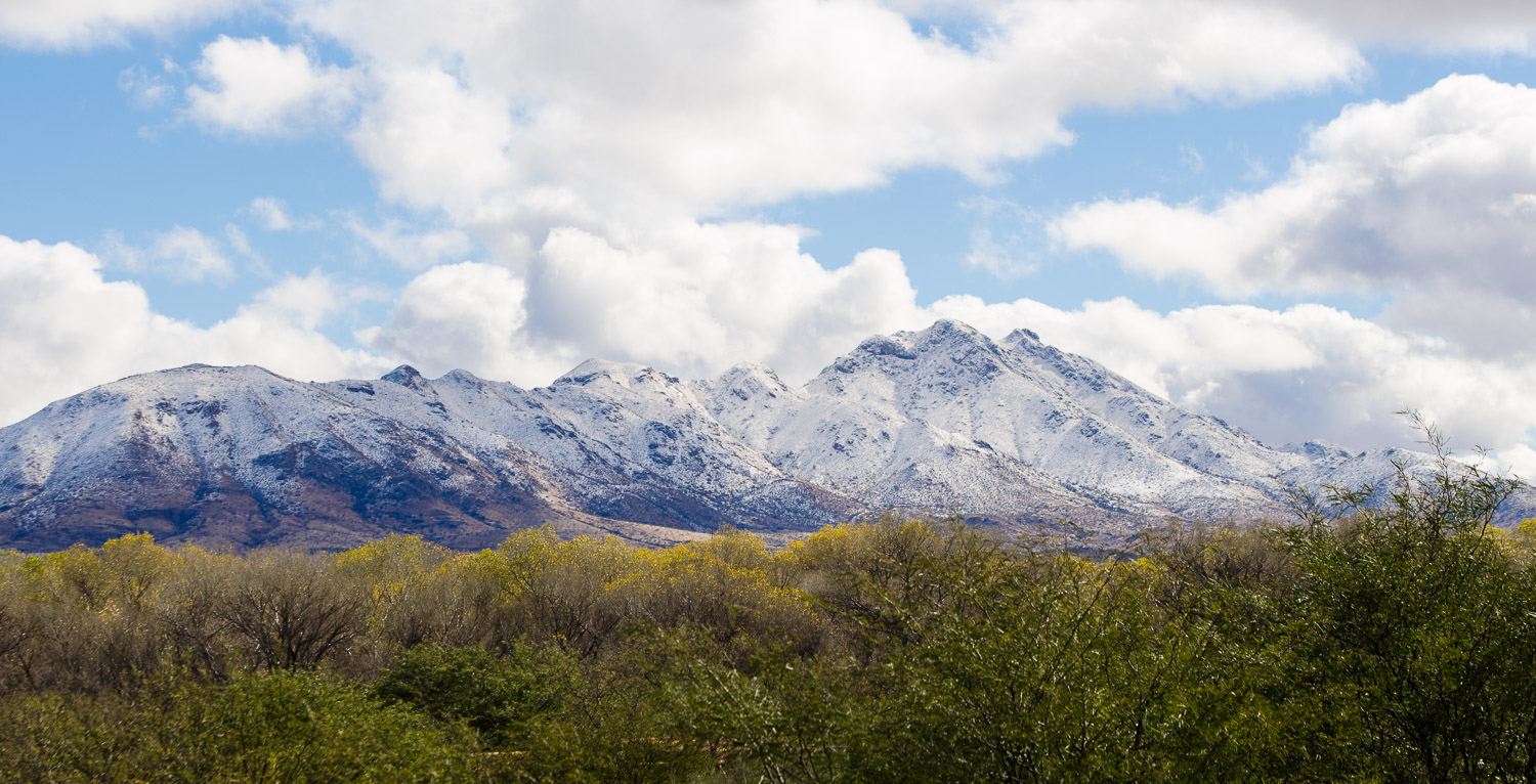 A Man Named Peppercorn: Saving & Savoring the Foodways of the Sonoran Desert