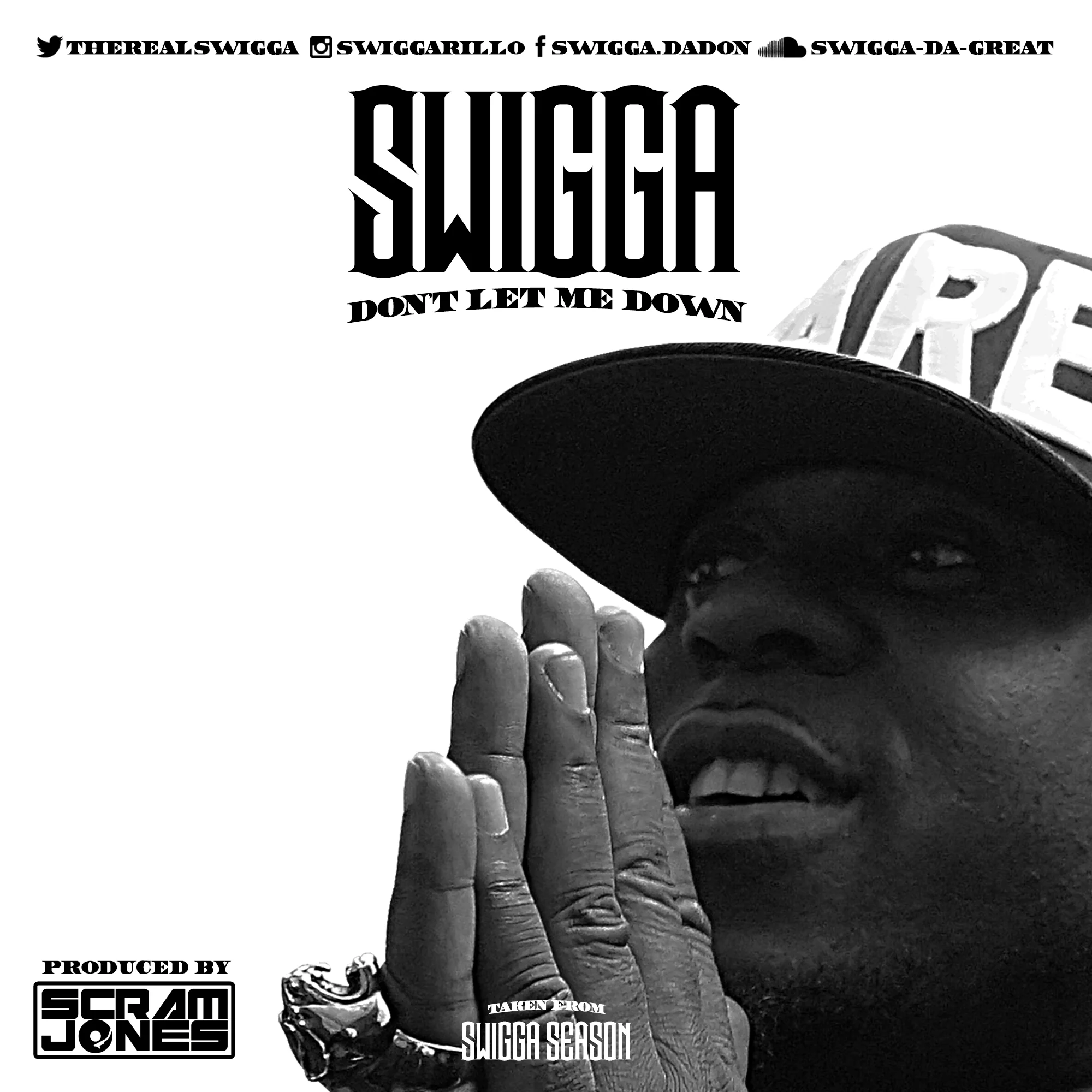 Swigga-DTMD-Cover_v2.jpg