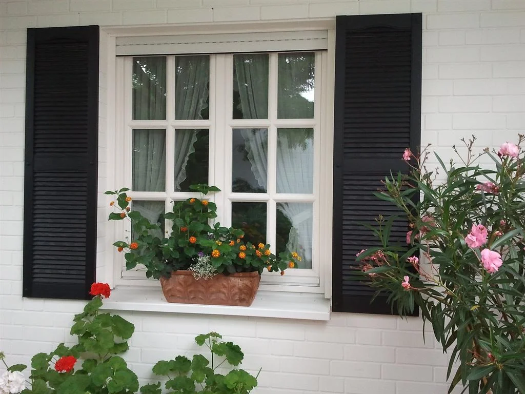Exterior External Window Shutters (111).jpg