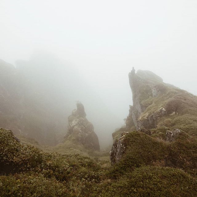 From yesterday's hike - can you spot me, swallowed by the fog?
.
.
.
#lofoten #theartofslowliving #travelaroundtheworld #neverstopexploring #folkgood #wanderlust #dametraveler #wowplaces #darlingescapes #roamtheplanet #shetravelz #womenwhotravel