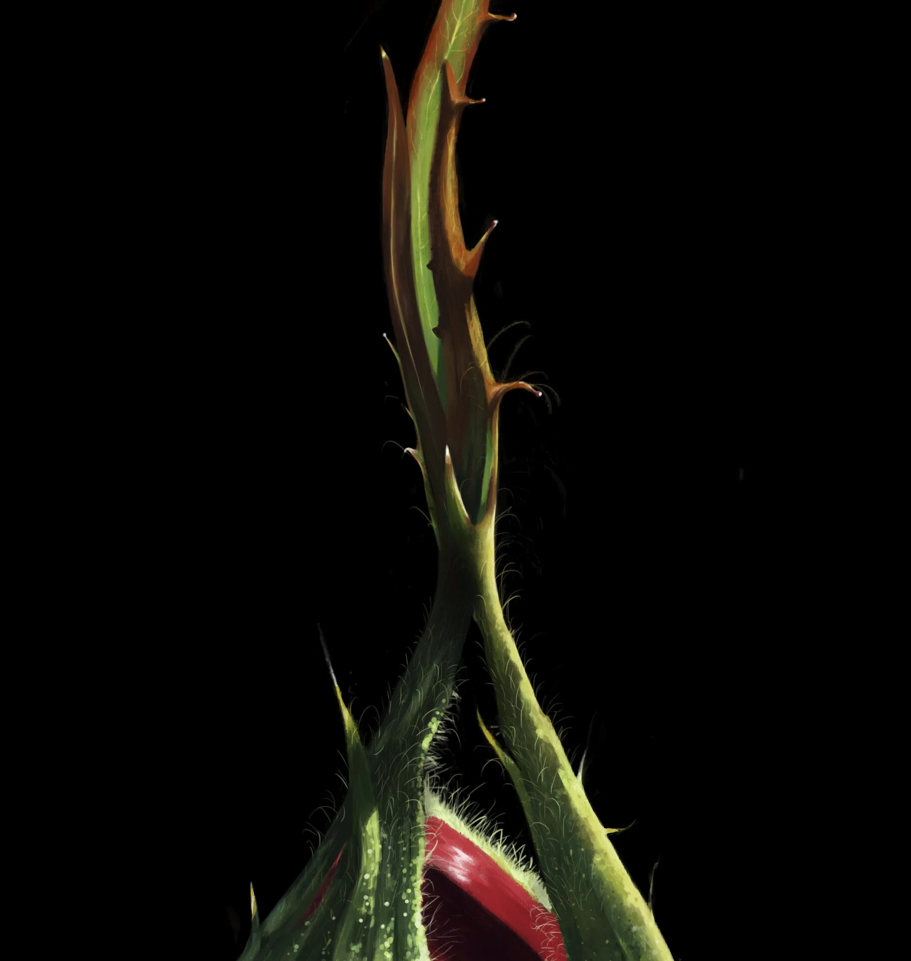 BLACK ROSEBUD_DIGITAL PAINTING DETAIL 1_.jpg