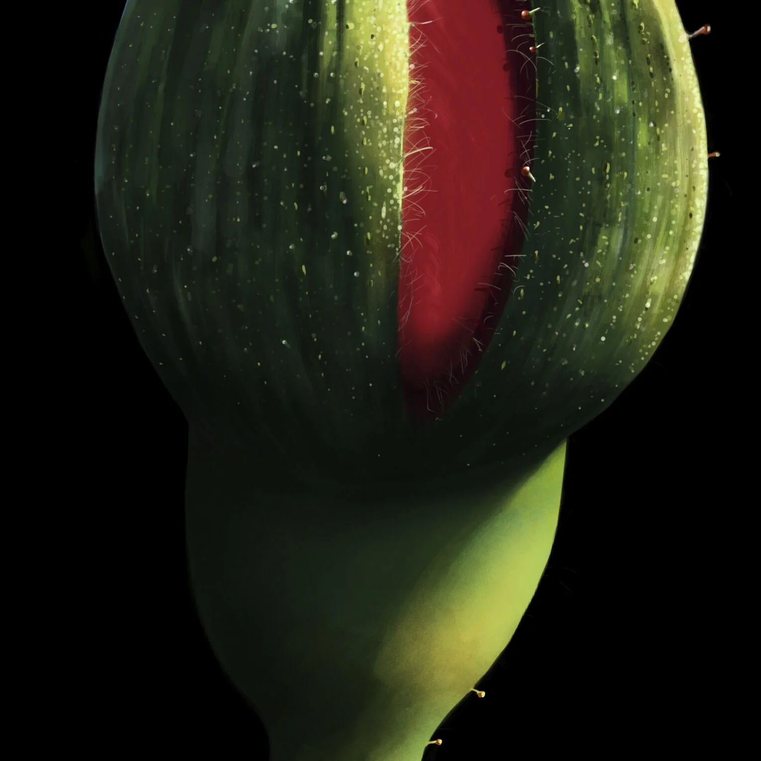 BLACK ROSEBUD_DIGITAL PAINTING DETAIL 2_.jpg