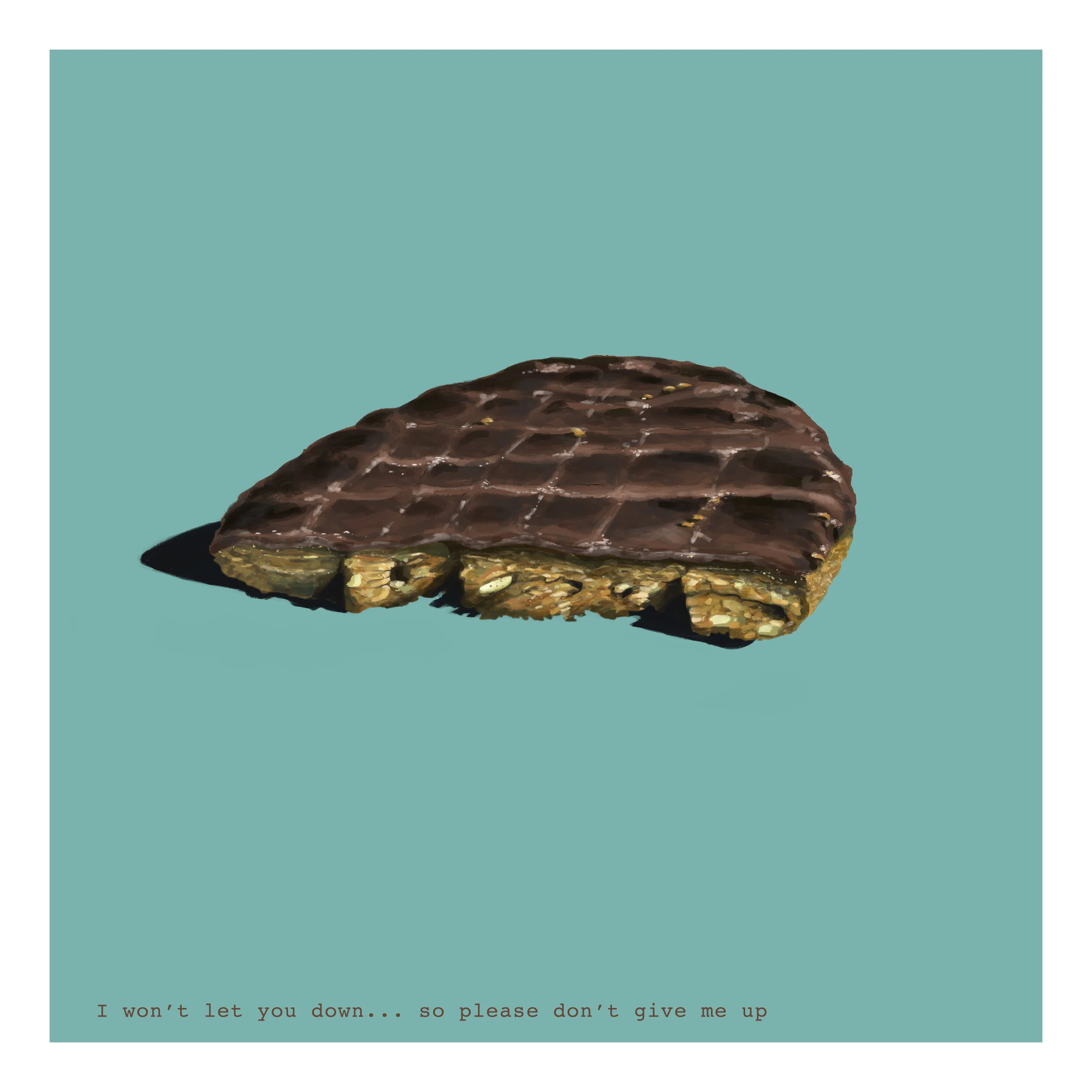 I won't Let you down, please don't give me up