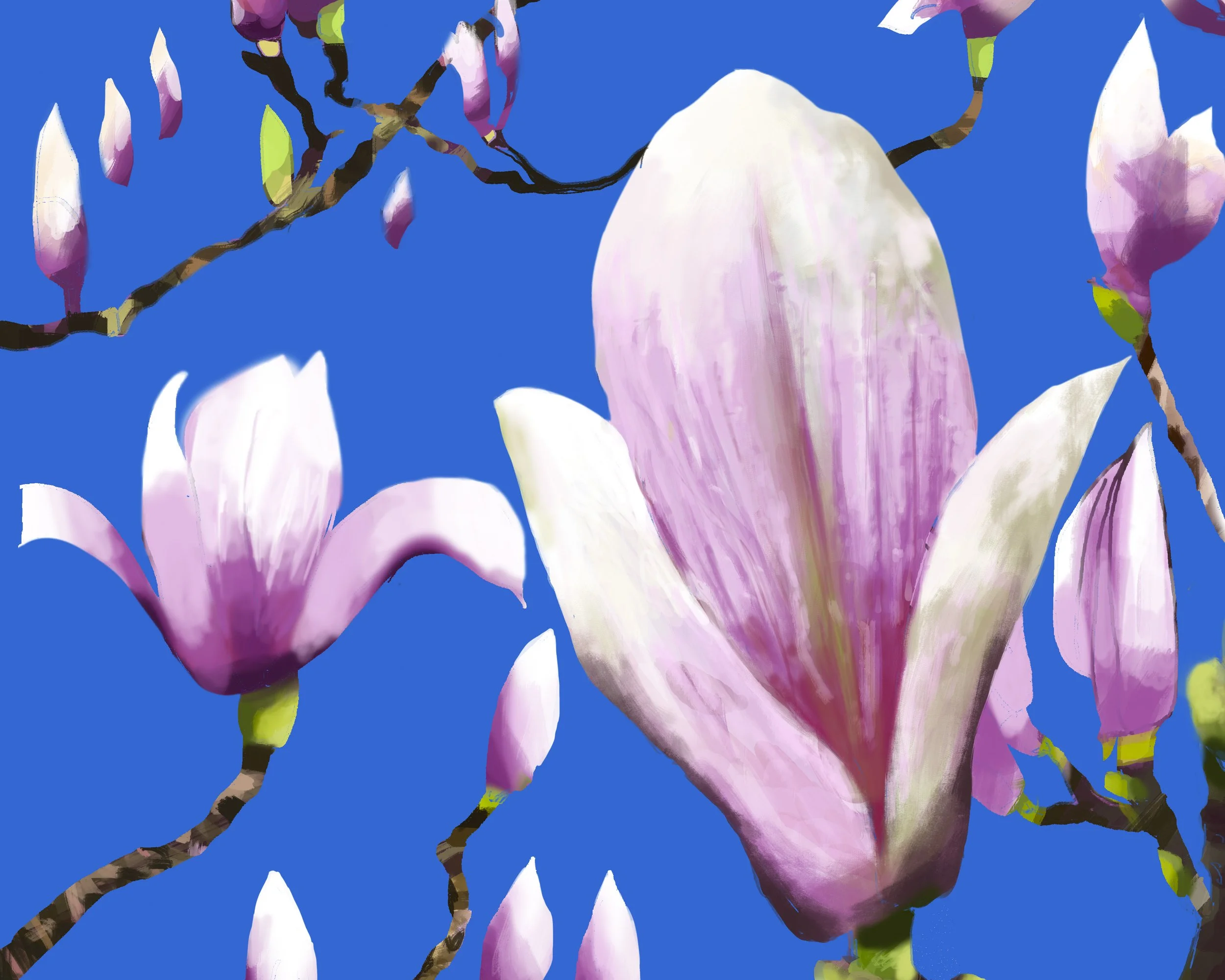 LONDON MAGNOLIAS_DEEP BLUE DETAIL 2.jpg