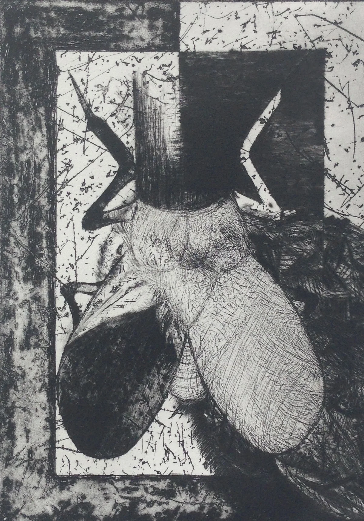 No. 6