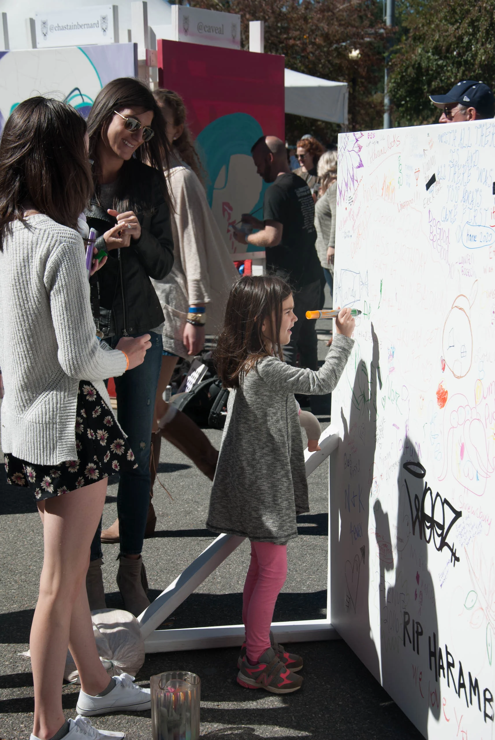 Deep Roots Festival Community Wall 2016