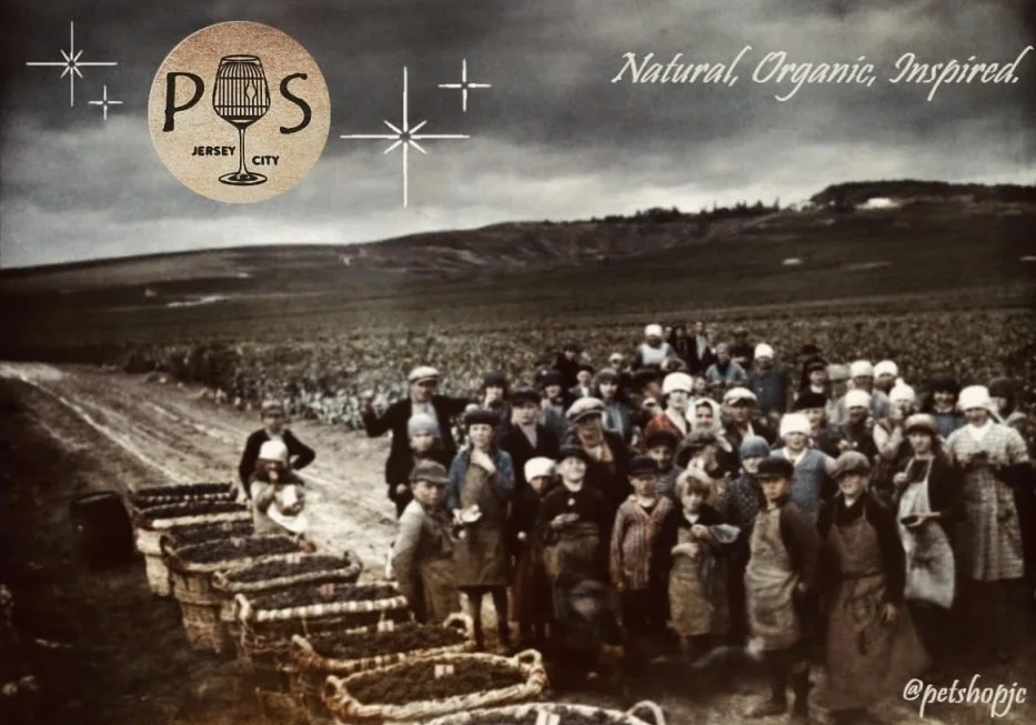 Jersey City Wine Bar Menu Our Wine Story Pet Shop