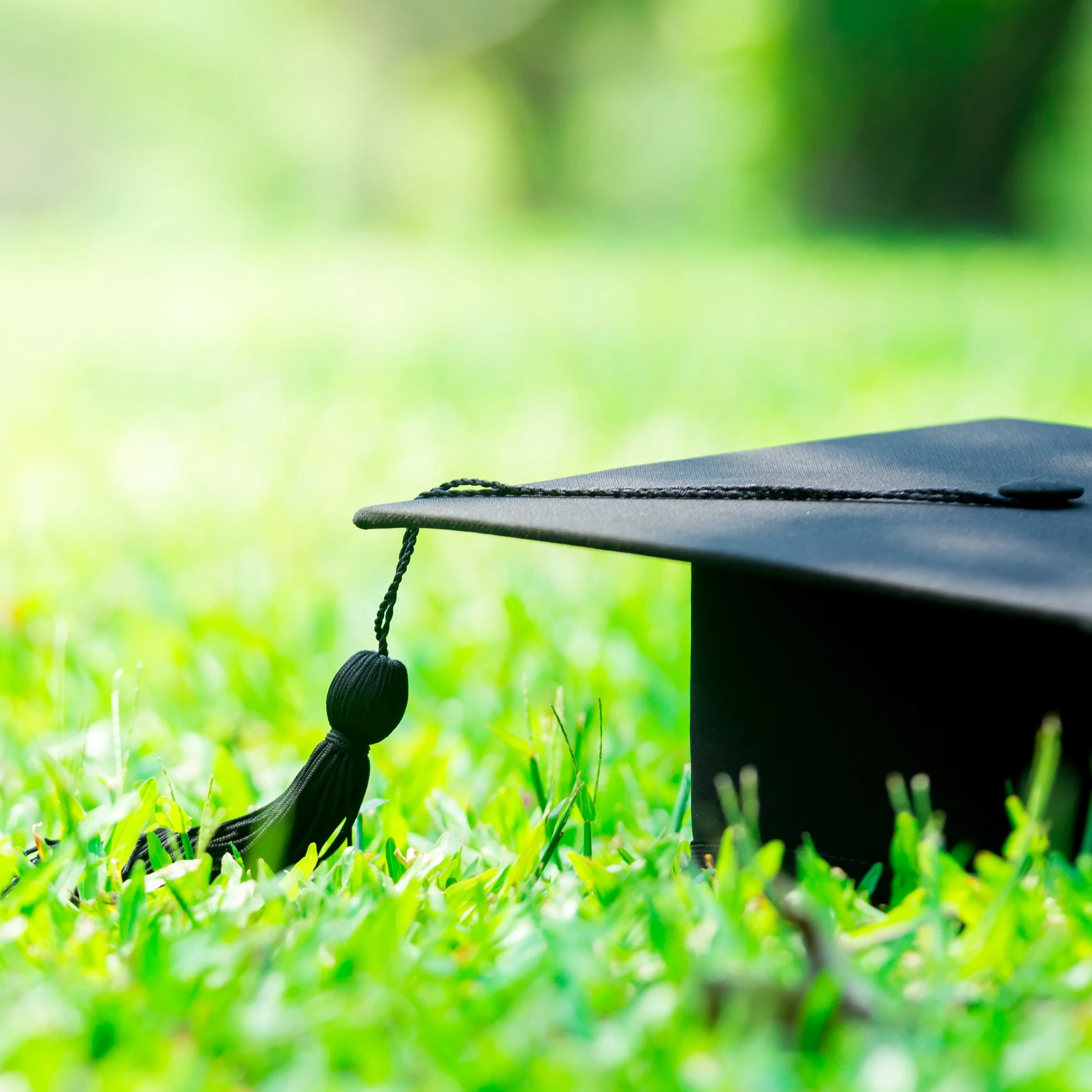A black graduation cap laying in the grass