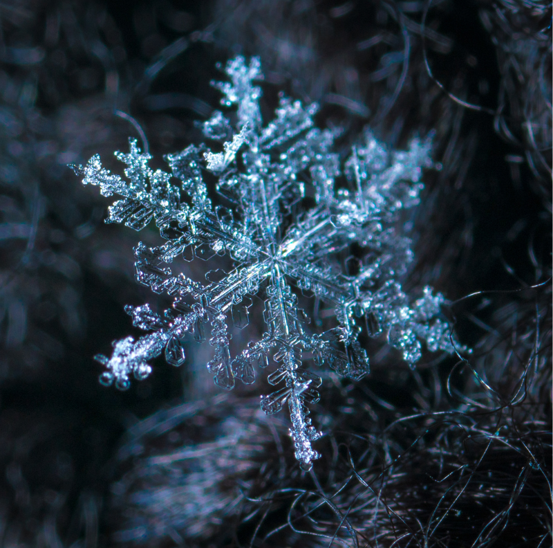 Snowflake up-close with a black background