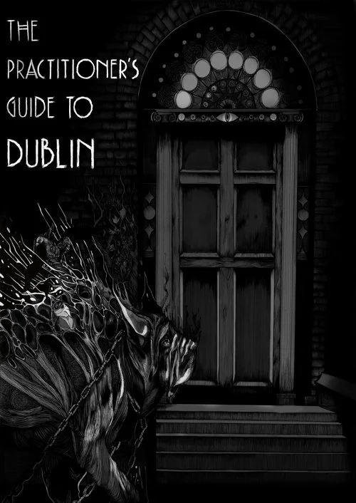 practitioner's guide.jpg