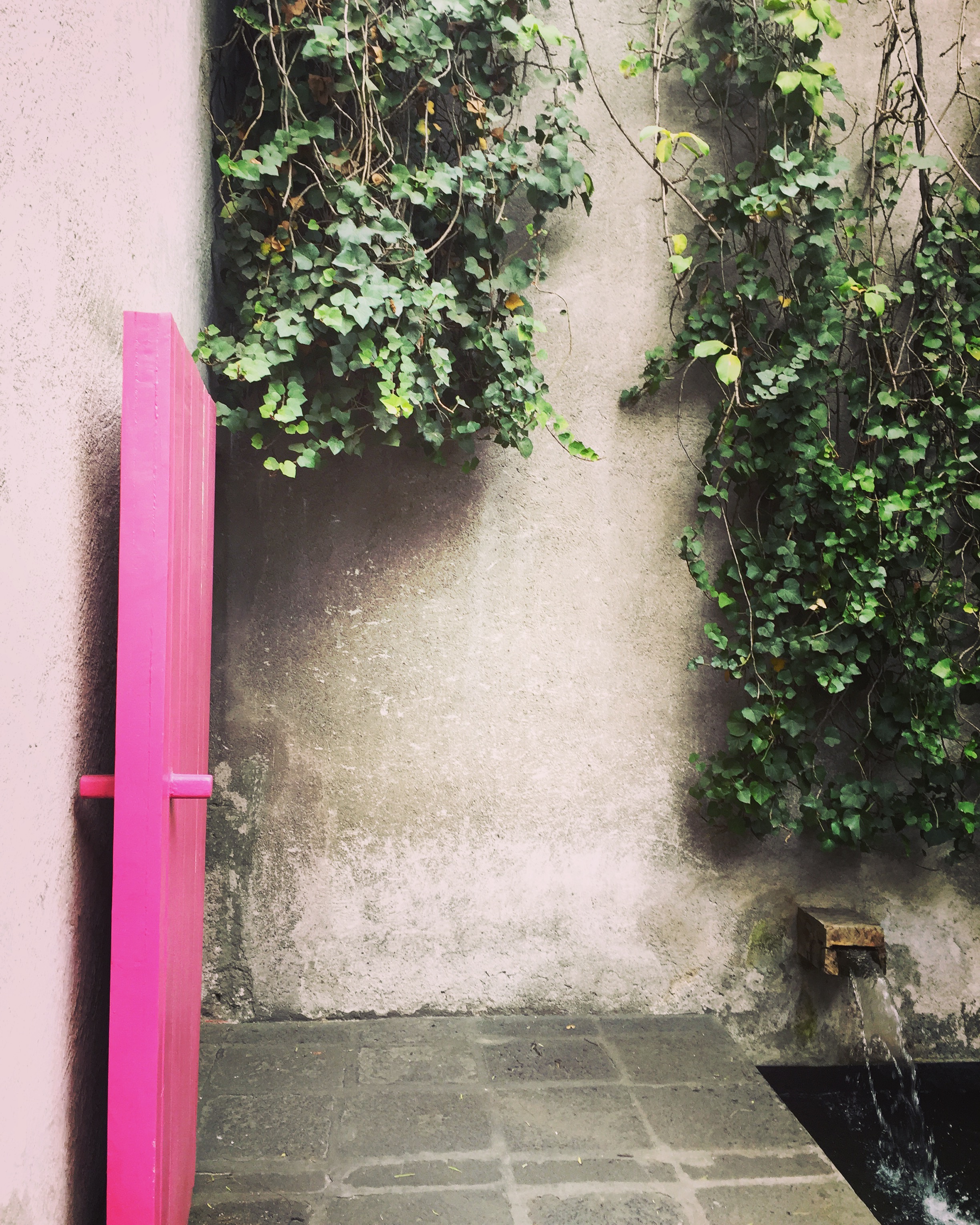 This pathway marks the outdoor transition between home and studio.