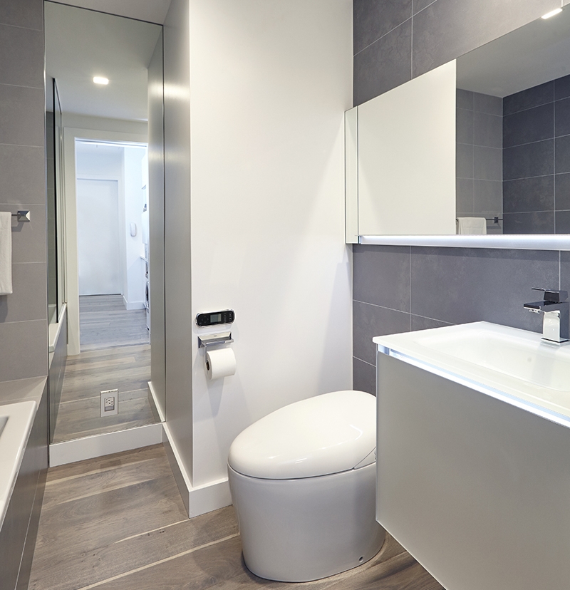 In this very small apartment where my client HAD to have a soaking tub, I selected this egg like toilet ( Kohler Karing ). Besides being pretty to look at, it is a "Japanese Style toilet", with integrated washing and drying. I recommend this type of toilet in every master bath. Once you try them you understand. To contain all their toiletries while keeping a clean feel, I used a Robern Uplift medicine cabinet. It is always a client favorite.