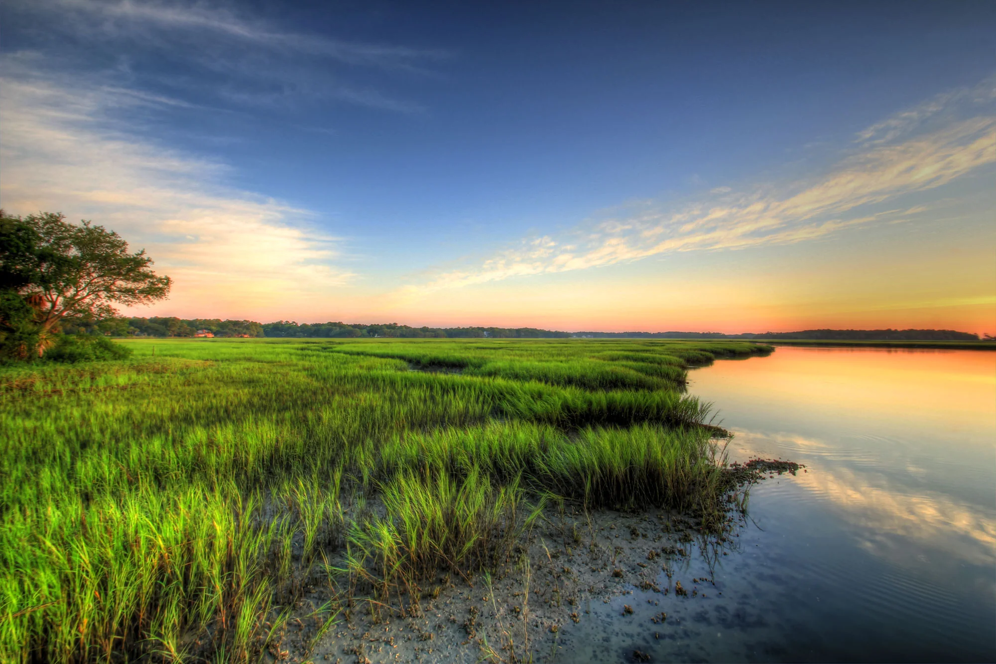 lowcountrysunrise.jpg