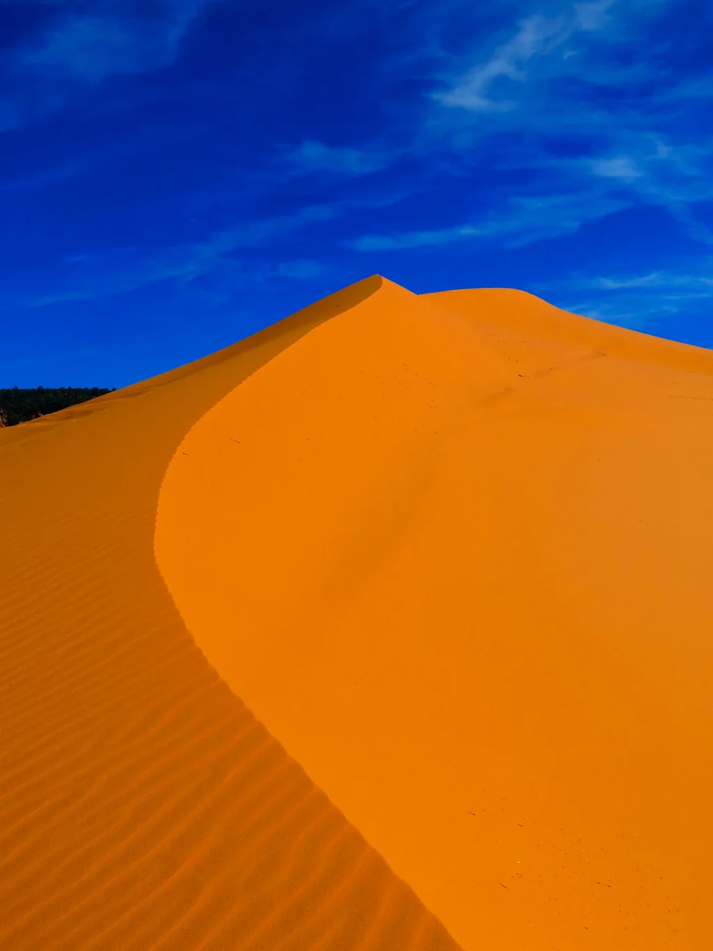 Coral Pink Sand Dunes SP