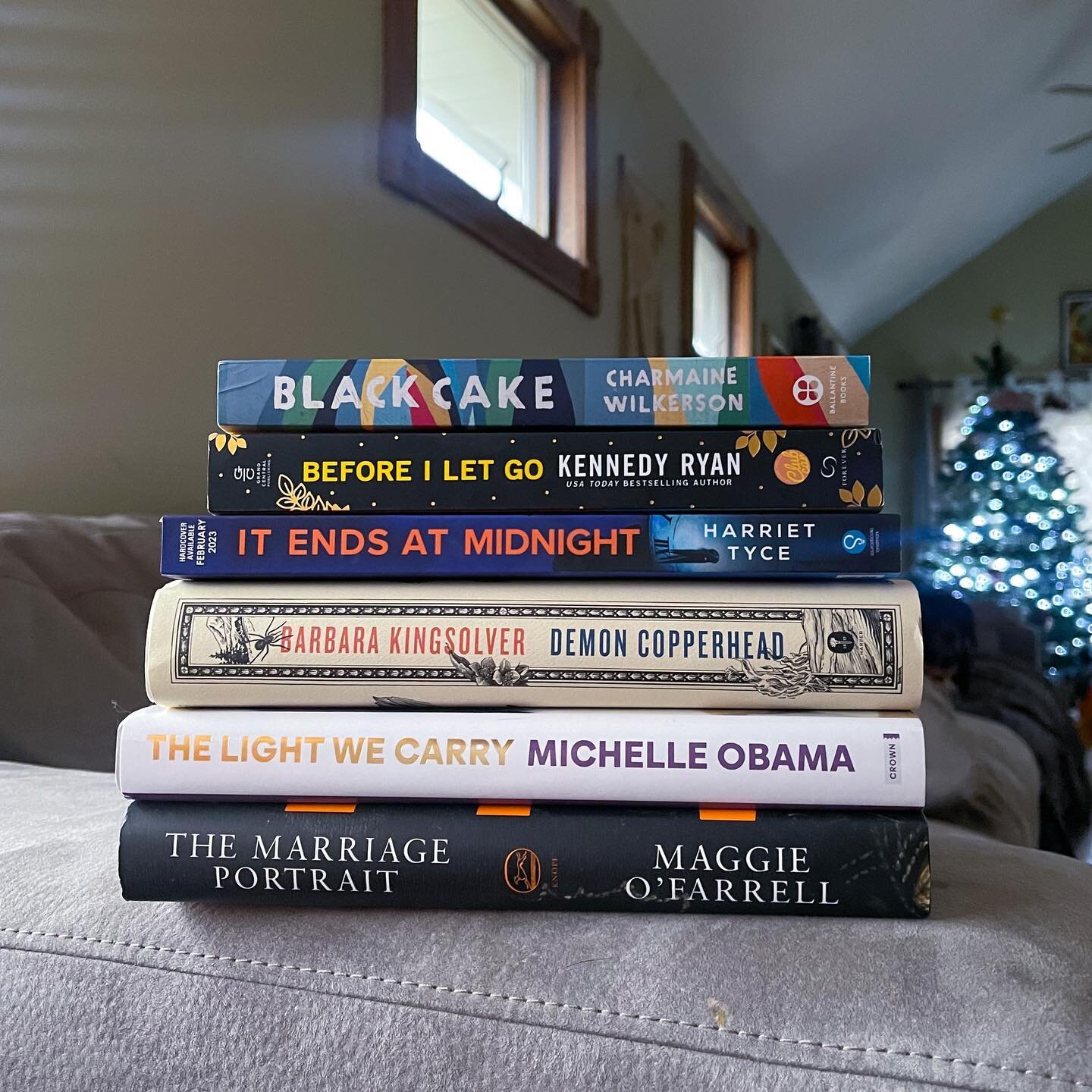 My December TBR. My calendar is packed with lots of activities this month so who knows how much  reading I&rsquo;ll do&hellip; but these are the books I&rsquo;d love to get to!