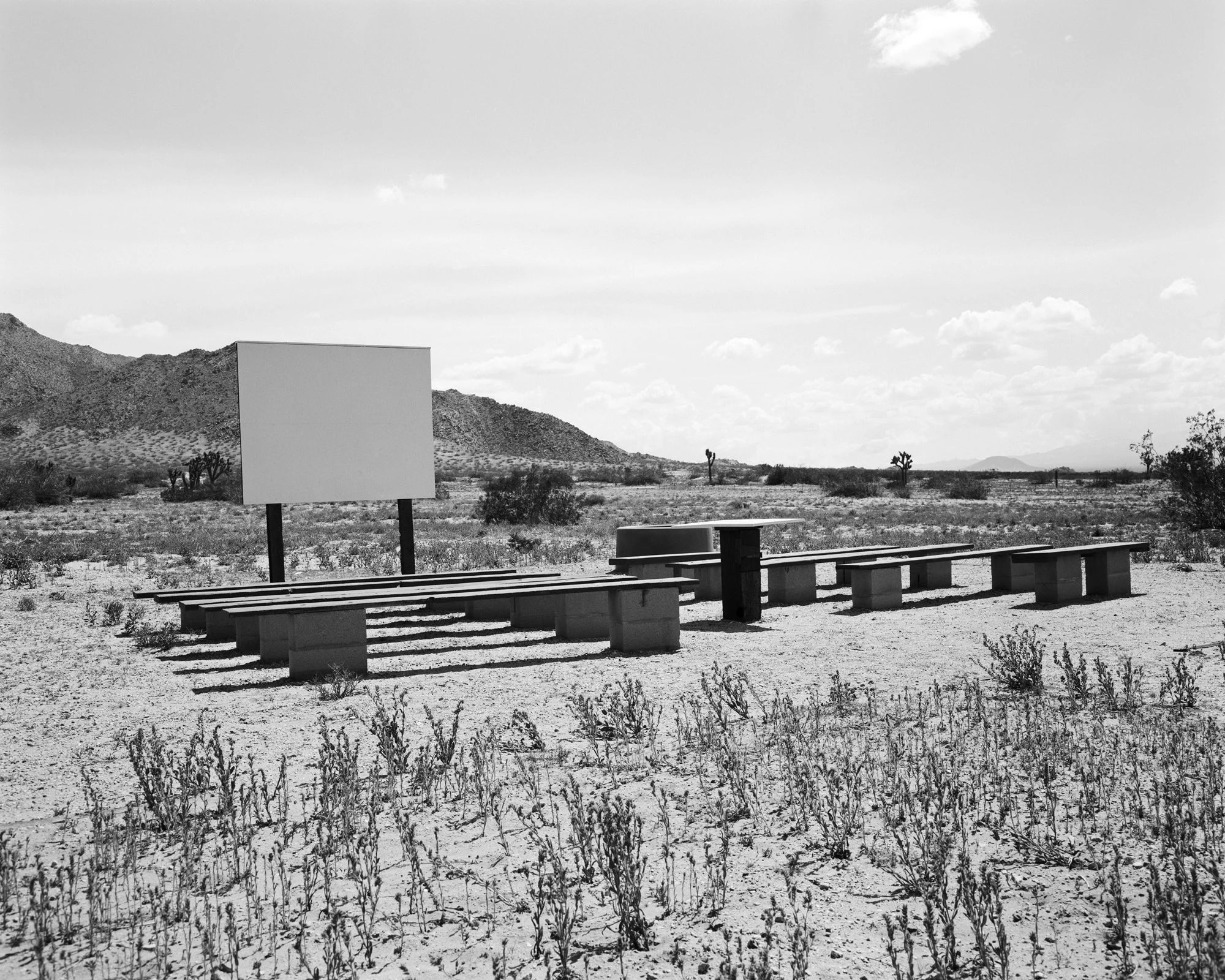 Mojave4.jpg