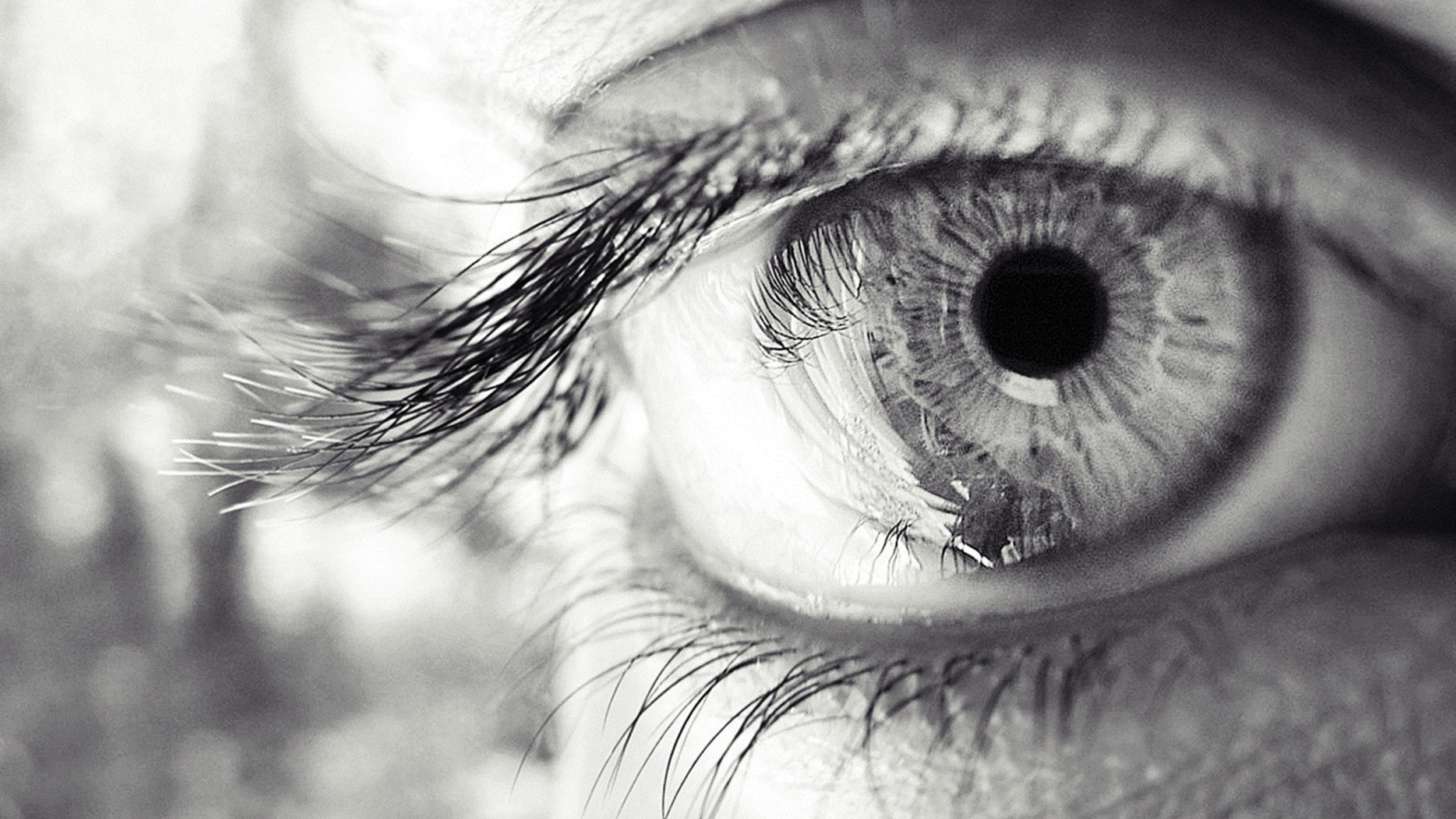 eye_eyelashes_pupil_black_and_white_50284_3840x2160.jpg