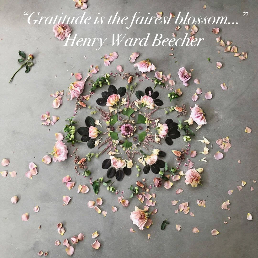 Reflecting, Part 1 - Gratitude