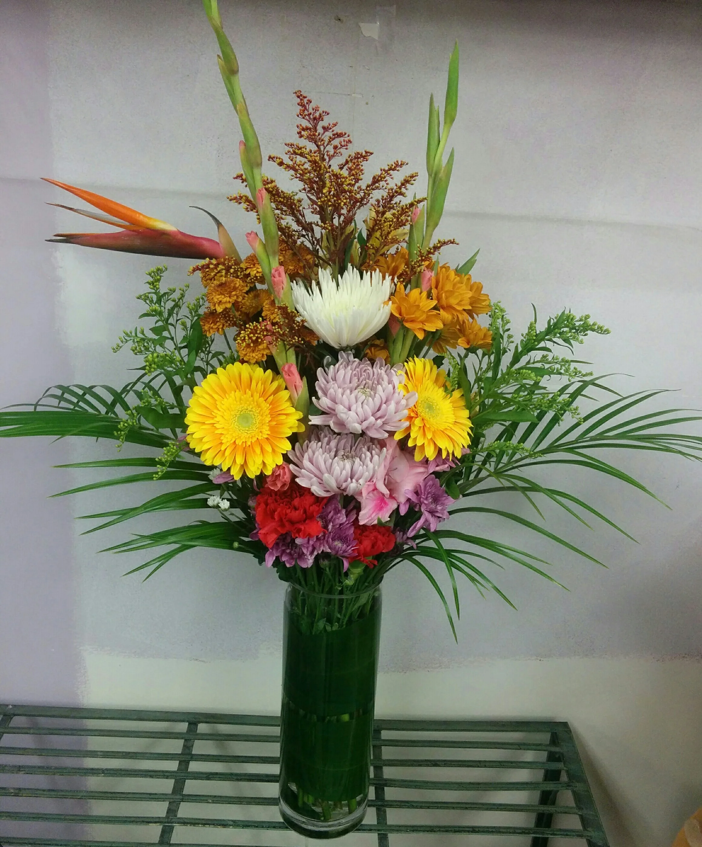 IMG_20161006_150329.jpg