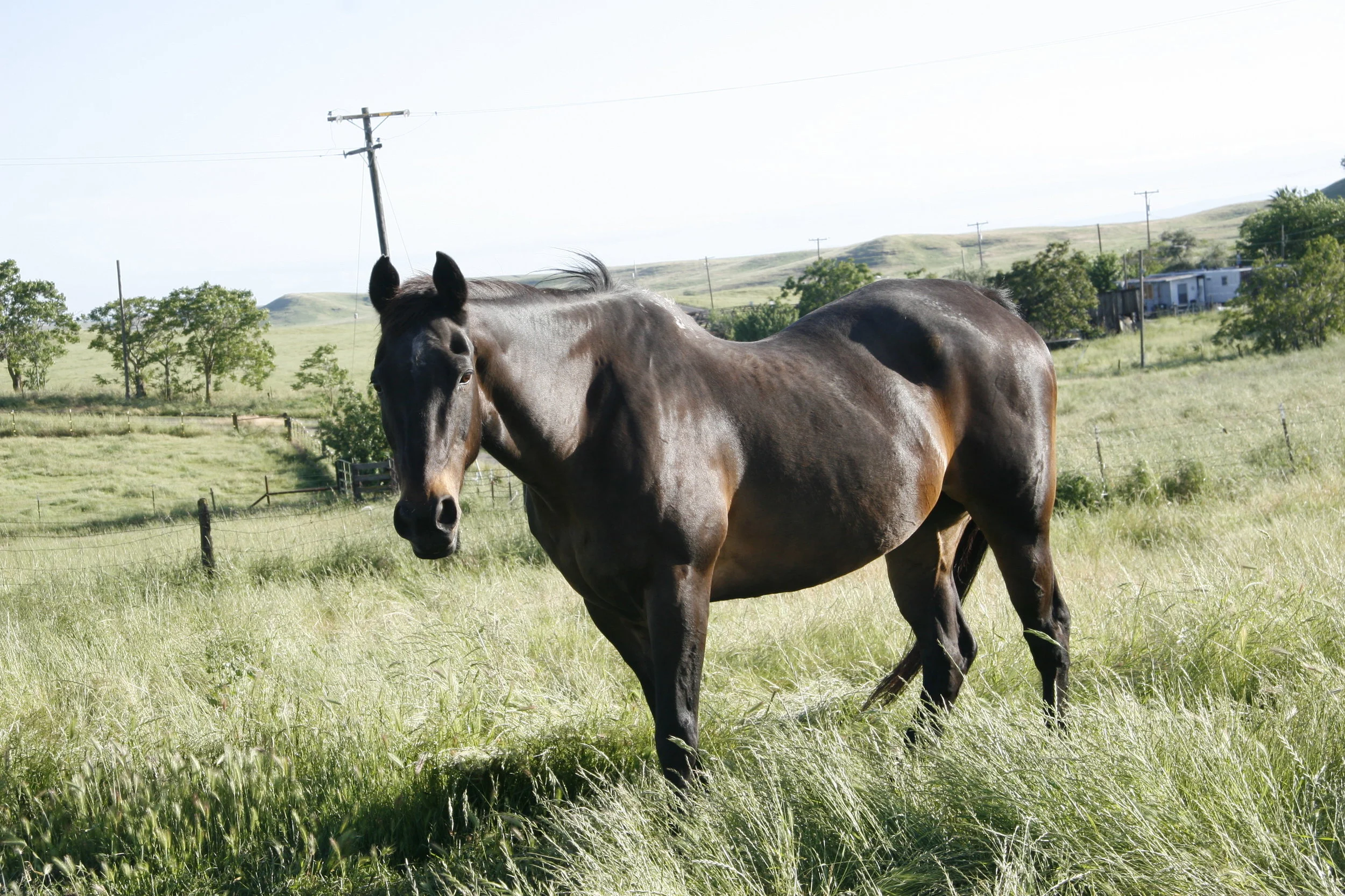 george2 (deleted ed60567ae11ccb289844c4c8baec3399).JPG