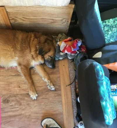 how_to_install_hard_floor_toyota_dolphin_motorhome_5.jpg