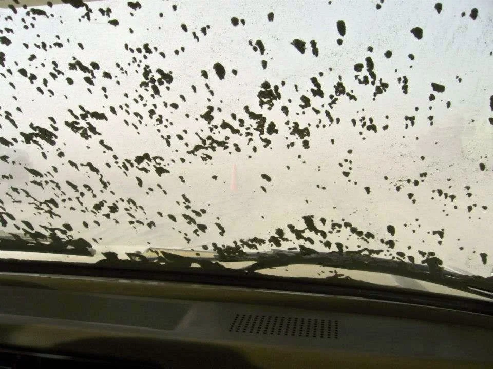 Dust dunes forming on the windshield as we drove into Black Rock City