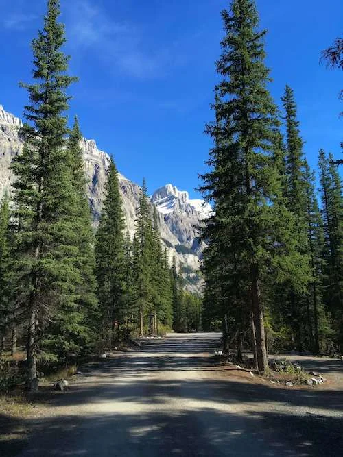 rampart creek campground mountain view copy.jpg