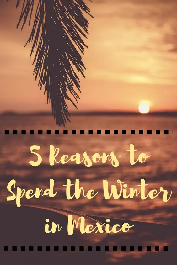 5 reasons to spend the winter in mexico pin.jpg