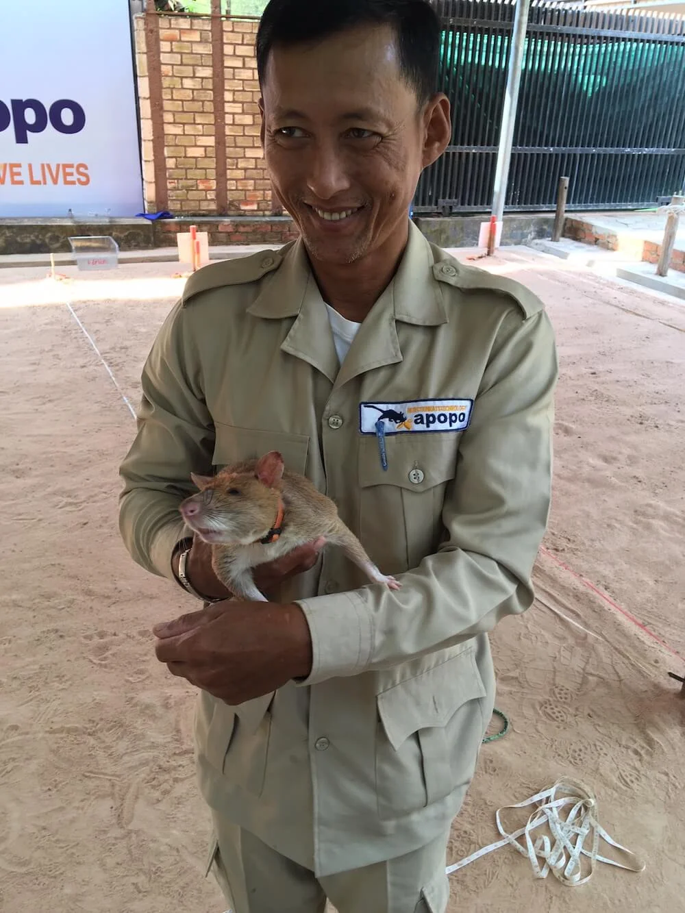 angkor wat travel blog.jpeg