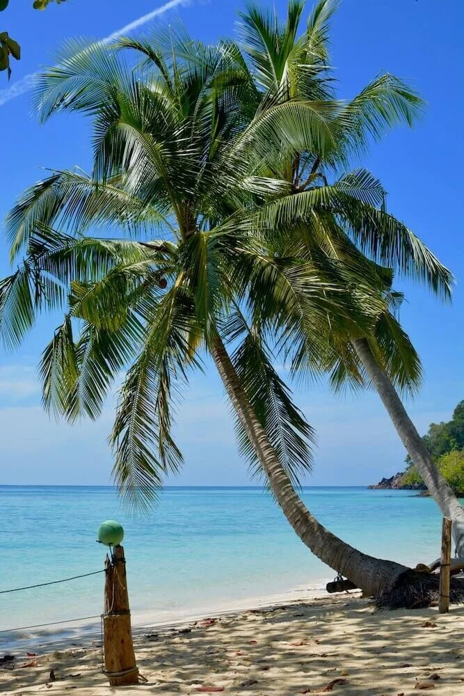best places to visit in asia.jpg