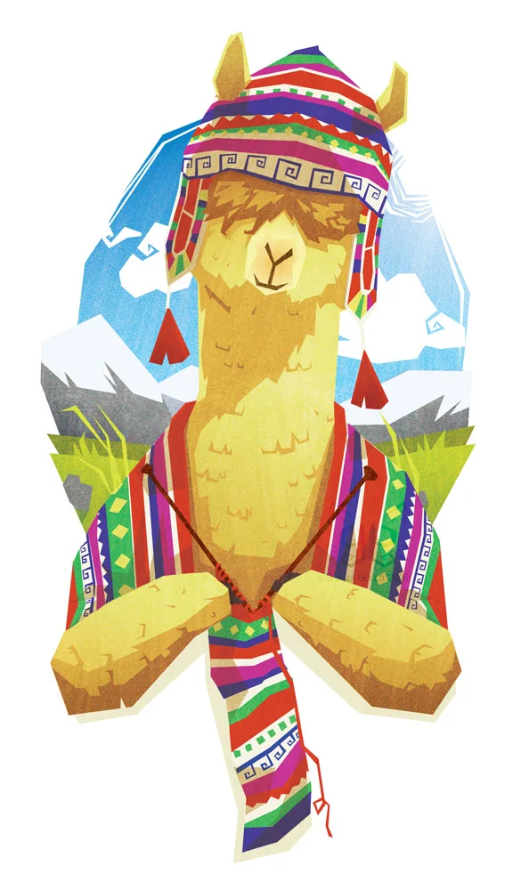 Alpaca Knit | Animals