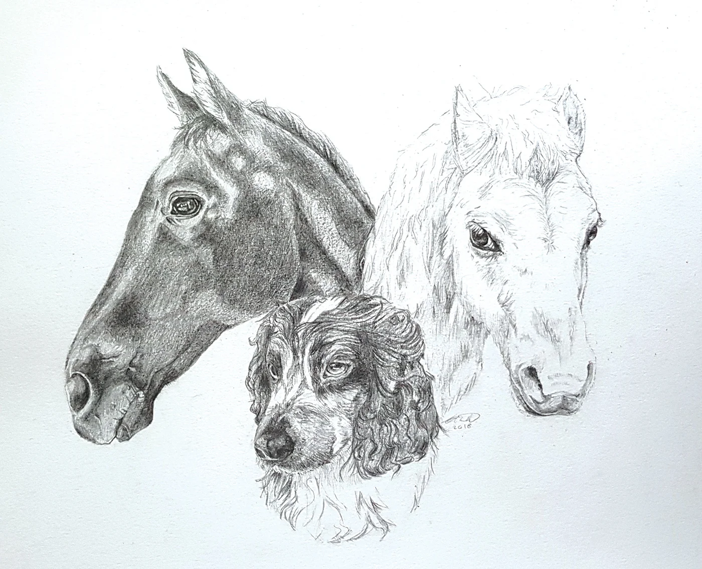 Trio