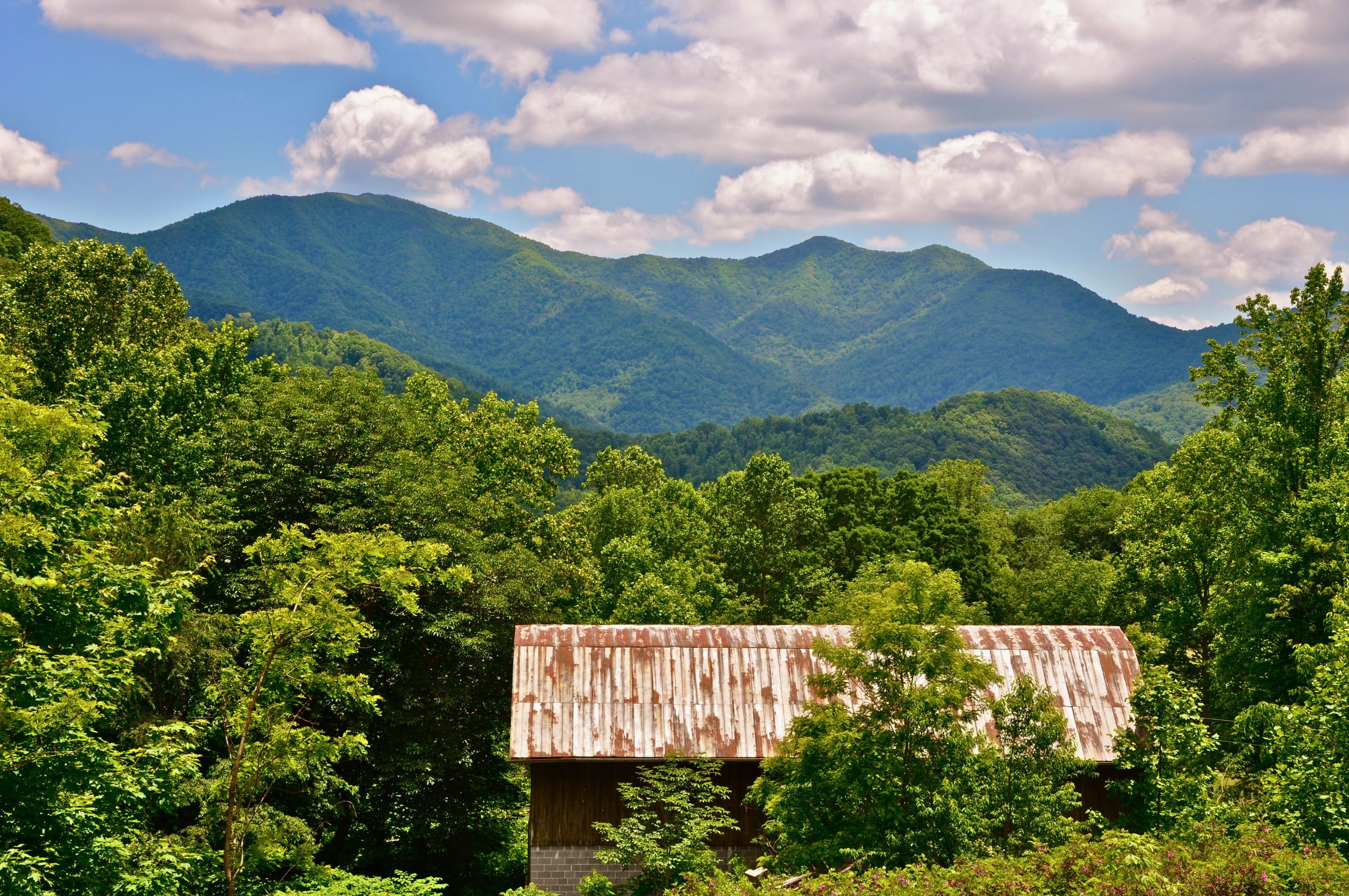 good-morning-camp-spring-creek-are-you-ready-for-the-day.jpg