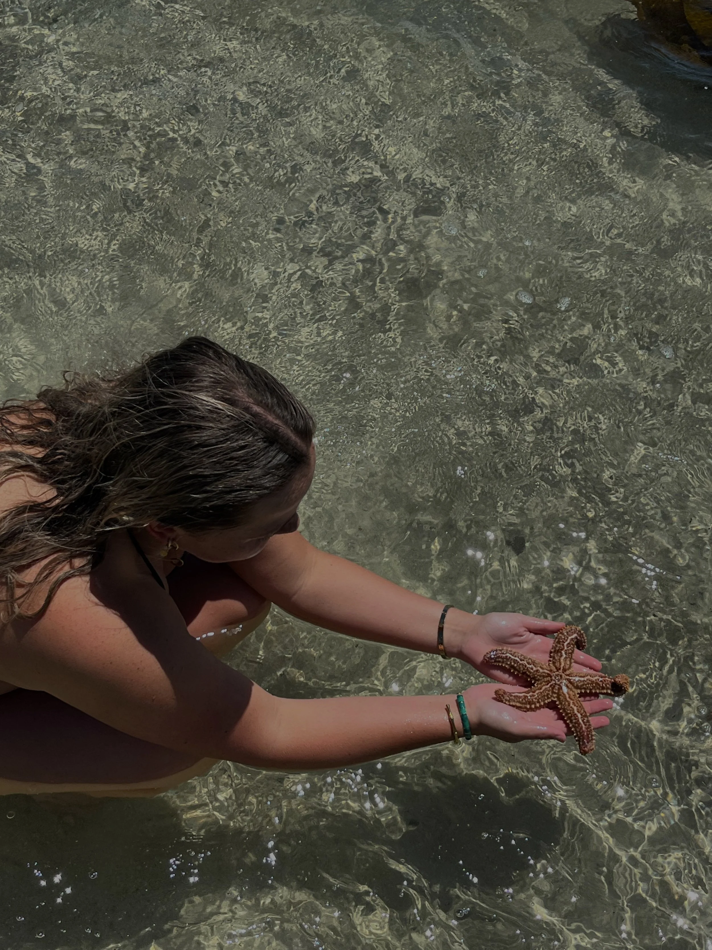 083296ba-7902-4305-abf3-6612cf7268c6 - Chelsea Scott.jpeg