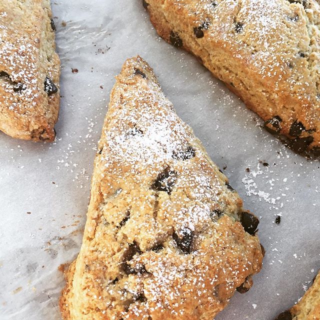 You made it to Friday - indulge with a chocolate chip scone...#5250 #pastrychef #baking #delicious