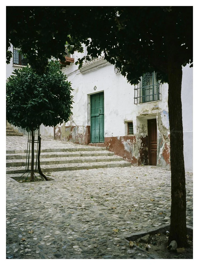 Trees and cobbles. Granada.