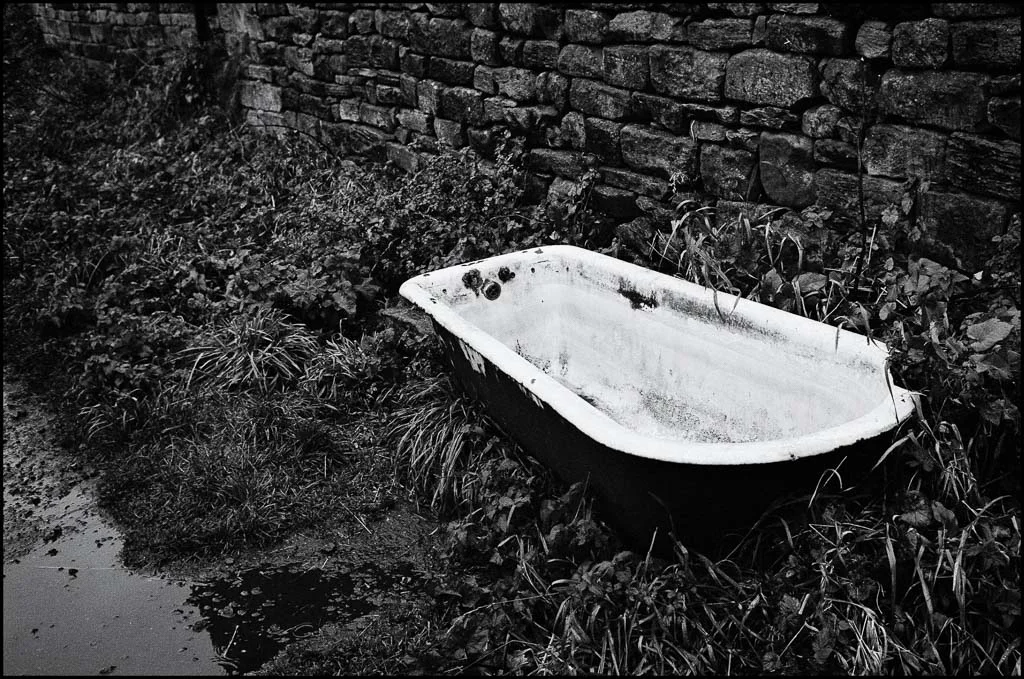 whitby-8.jpg