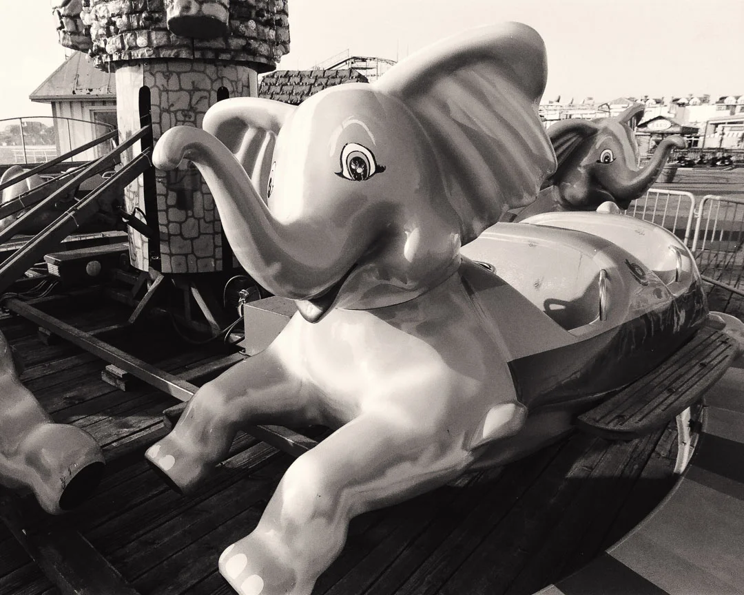elephants.jpg