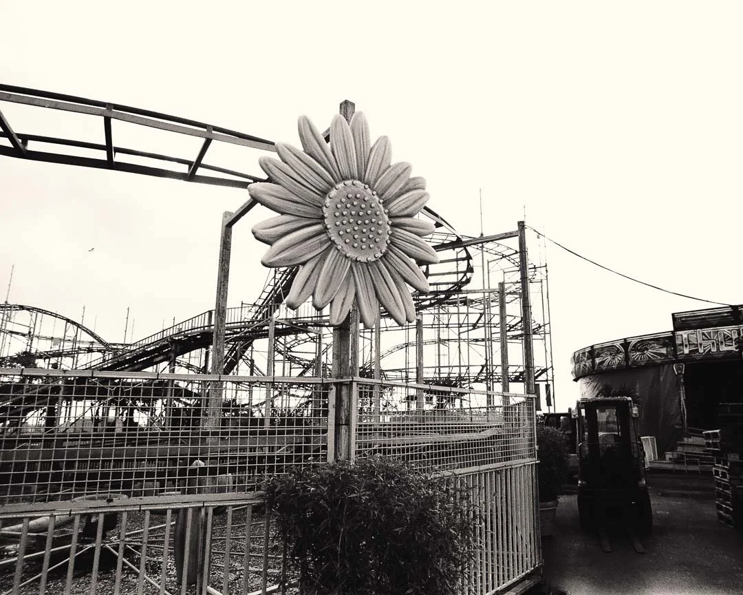 flower.jpg