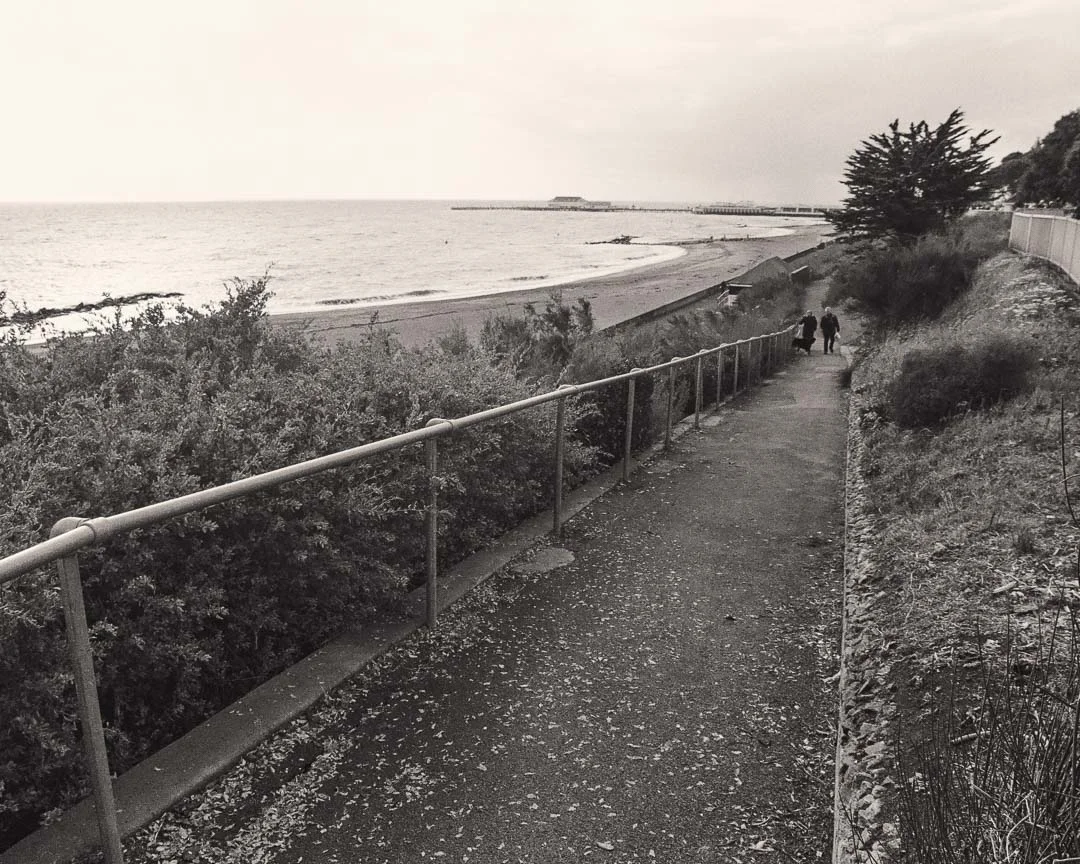 path.jpg