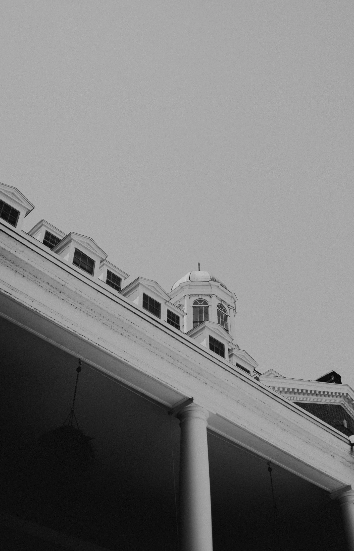 Shepardson-8.jpg